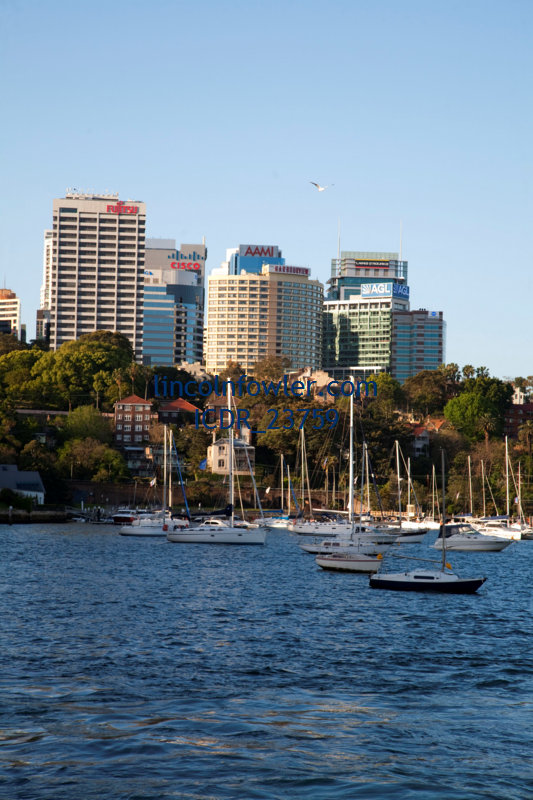 Lavender Bay